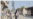 انځور سایز