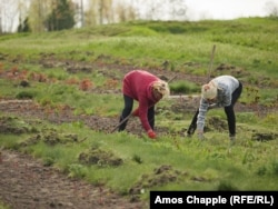 Gardeners at work on April 24