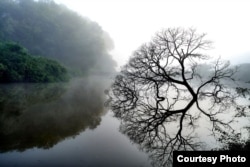 Japanese landscape
