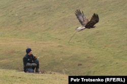 An eagle is released during the competition, where it must demonstrate its skill in obeying commands.