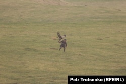 An eagle catches a bird.