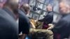 Frontline medics work to save the leg of an injured Ukrainian soldier in the Sumy region where Russian troops have intensified their cross-border offensive.