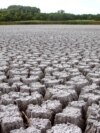 Засуха в Волгоградской области. Иллюстративное фото