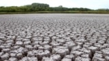 Засуха в Волгоградской области. Иллюстративное фото