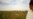 The Life Of The Uzbek Cotton Farmer