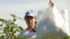 A girl picks cotton in Uzbekistan's Tashkent Province in September 2010. The ILO monitors will be looking for signs of forced or child labor.