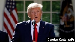 U.S. President Donald Trump (file photo)