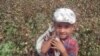 World Bank Won't Probe Uzbek Labor Practices