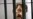 Thailand Orders Arms Dealer Extradition