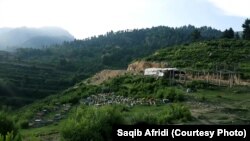 د تیرا یوه ښکلې منظره