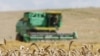 A sharp drop in Azerbaijani wheat production has resulted in the country being identified by Oxfam as one of four food insecurity "hotspots."