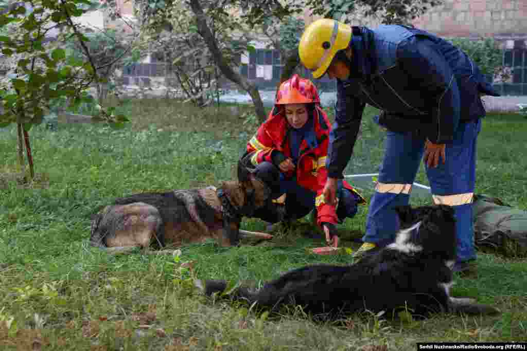 Rescue workers comfort pets whose owners were missing.