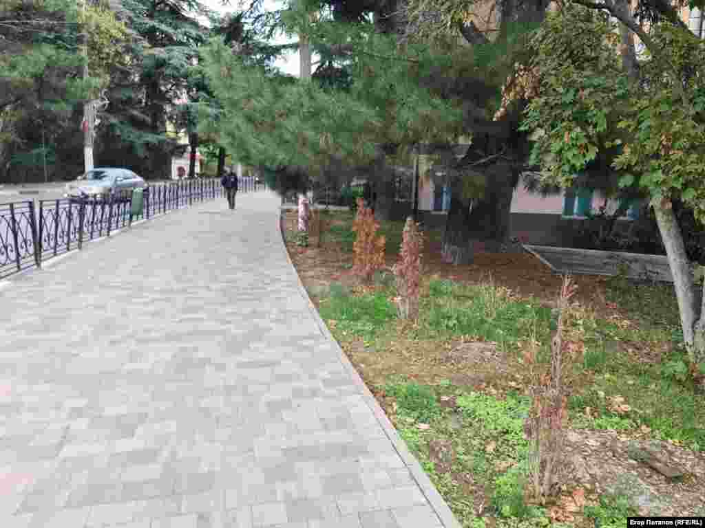 Высаженные в этом году деревца в Ялте засохли без полива