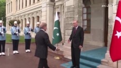 هند او پاکستان بېلابېلو هېوادونو ته د پلاوو له لېږلو څه حاصلول غواړي؟