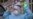 U.S.-Funded Health Website 'Spreading Misinformation' About Coronavirus