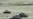 Turkish Troops Near Border Spark Invasion Reports
